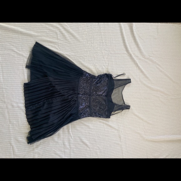 BCBG Black Mesh Sequence Pleated Dress - Picture 9 of 13